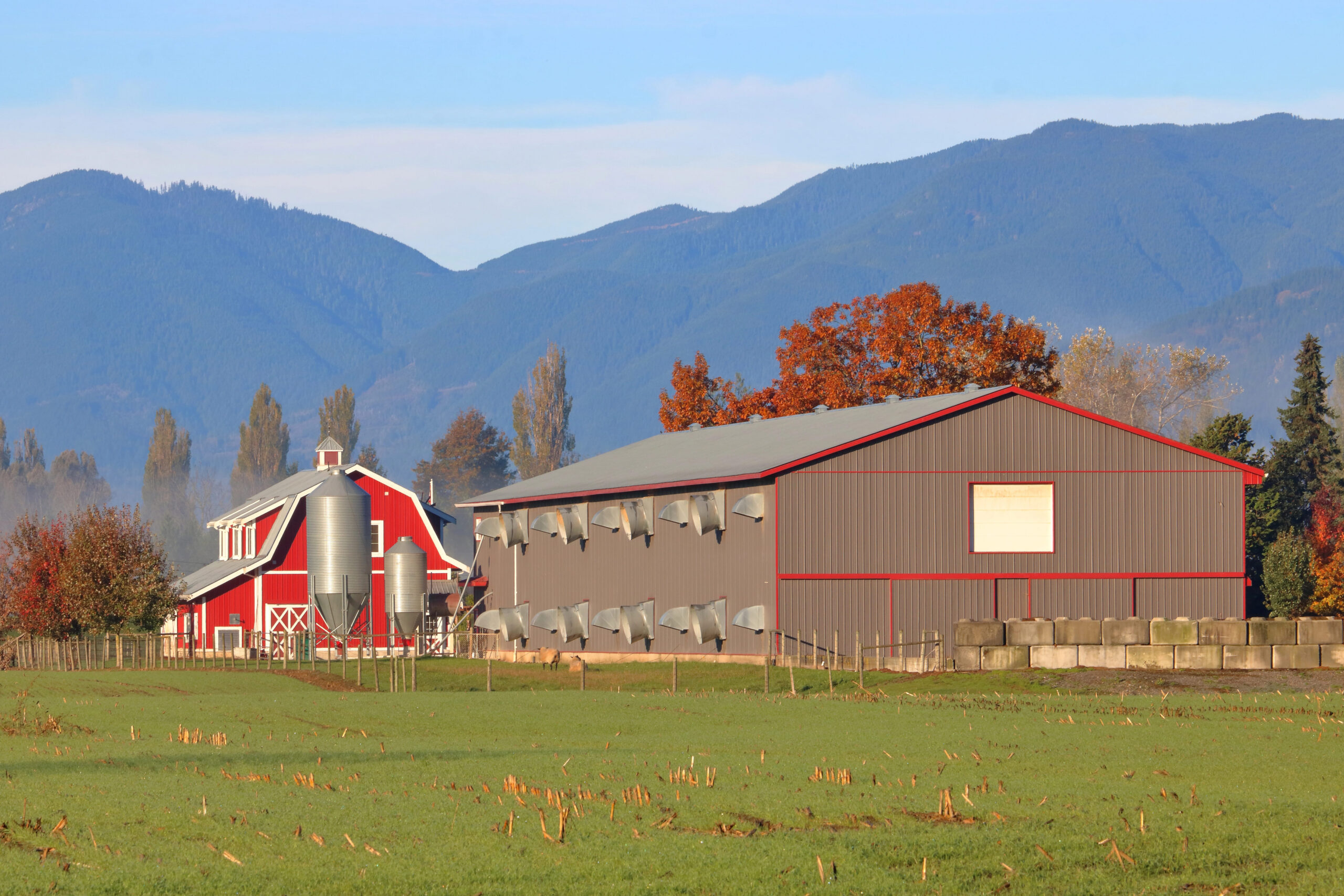 red barn