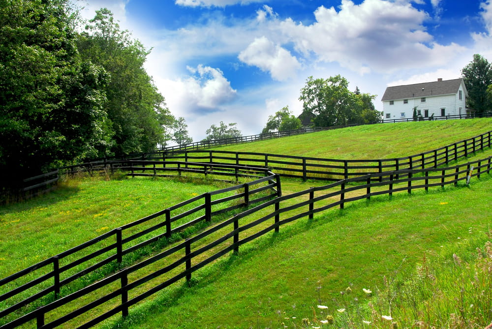 asset protection
