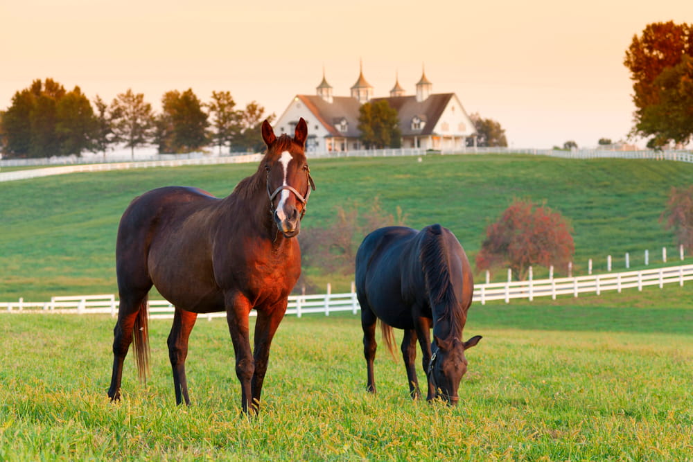Kentucky